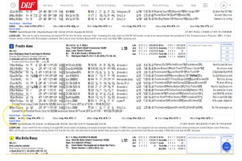 drf bets classic|drf classic home page all news.